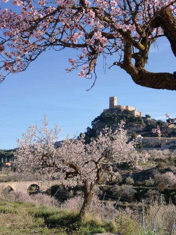 Rural Mas Fontanelles *